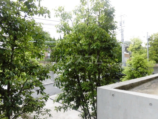 17/25 その他画像