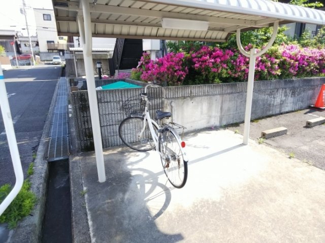 19/30 その他画像