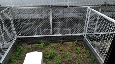 14/24 その他画像