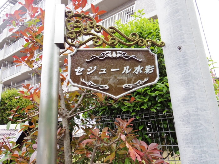 16/25 その他画像