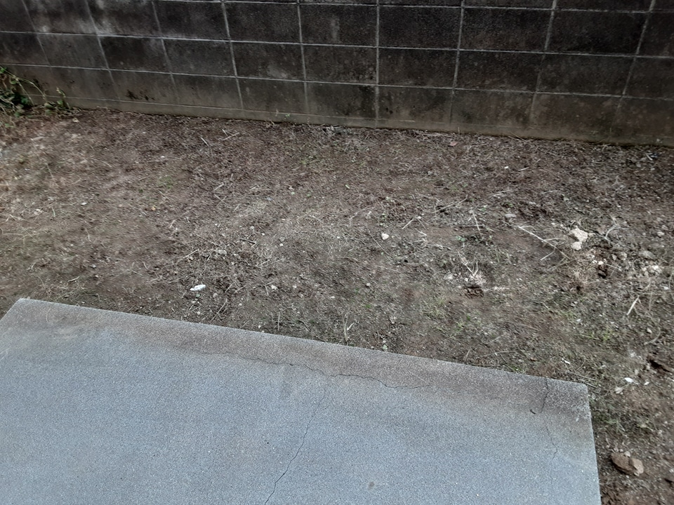 15/25 その他画像