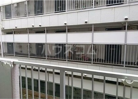 11/21 その他画像