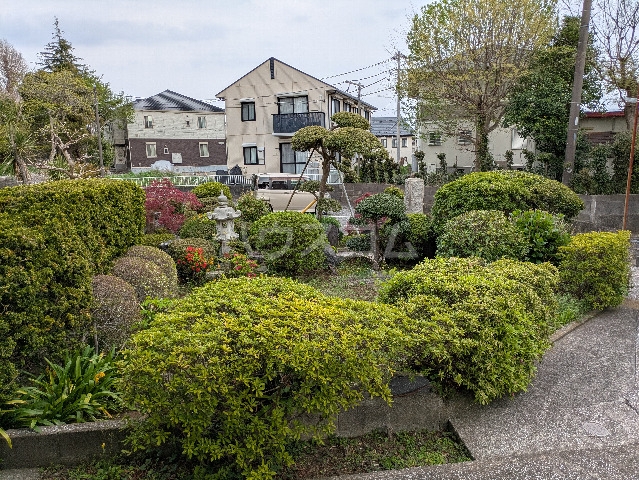 15/17 その他画像