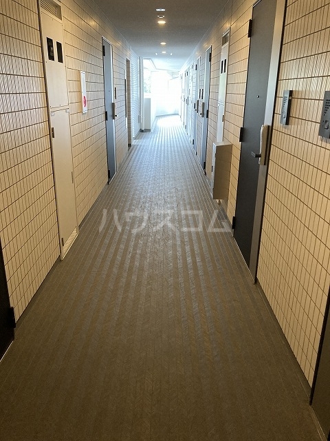 11/27 その他画像