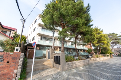 13/24 その他画像