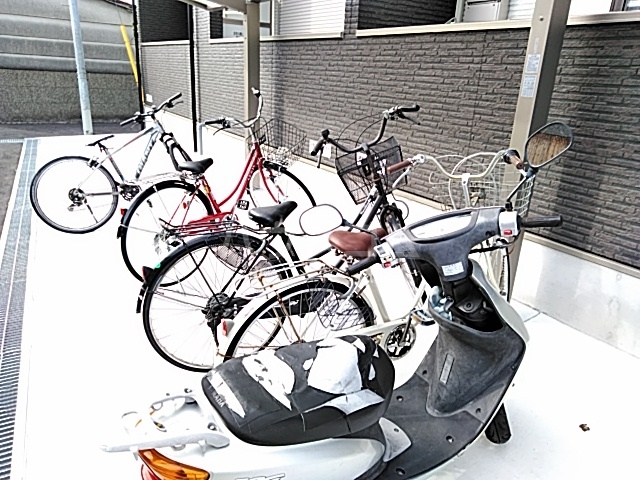 20/30 その他画像