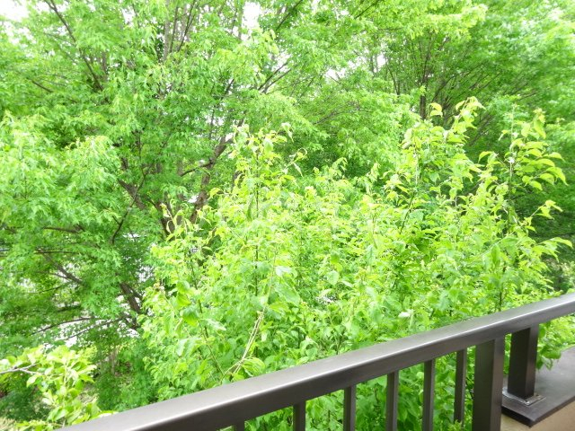 16/28 その他画像