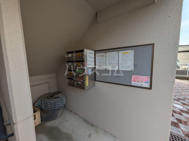 20/30 その他画像