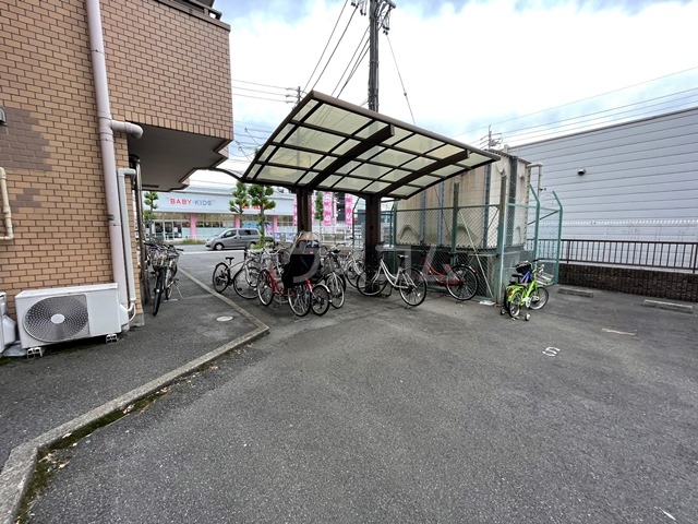 20/30 その他画像