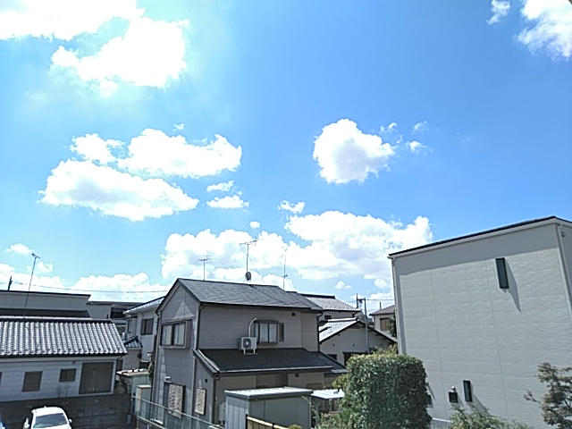 11/21 その他画像