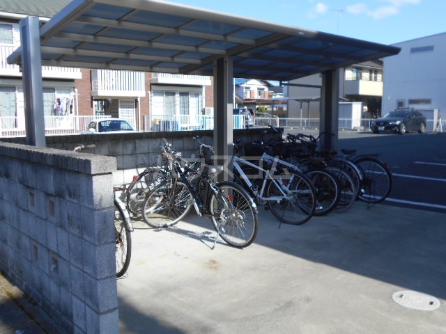 20/30 その他画像