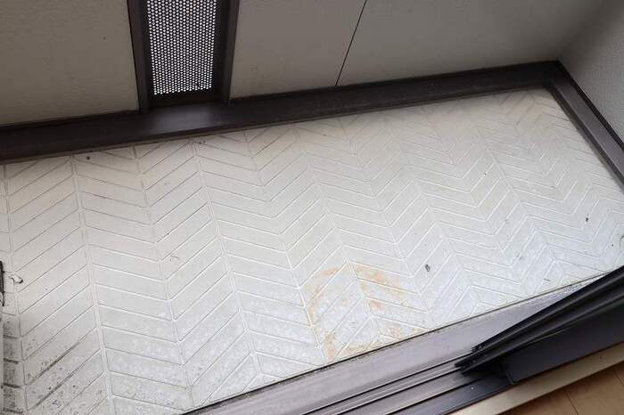 16/19 その他画像