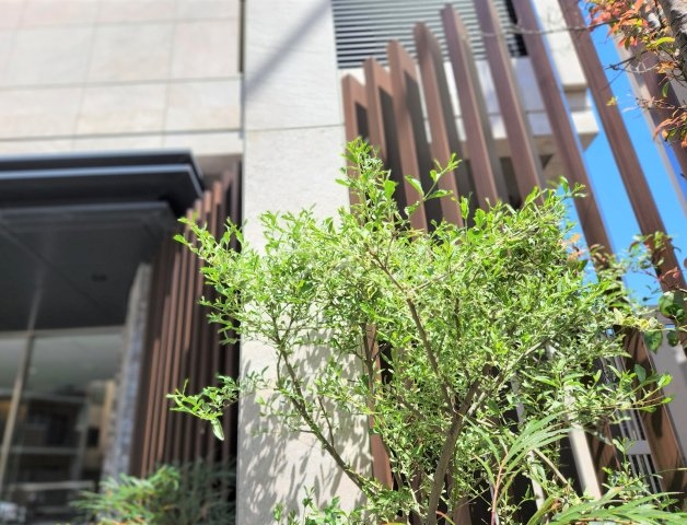 29/30 エントランス