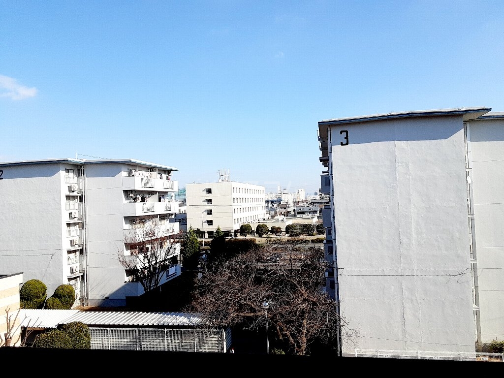 20/30 その他画像