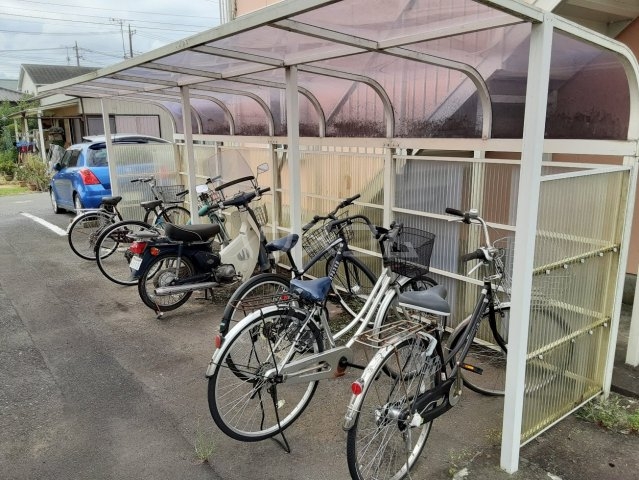 20/30 その他画像