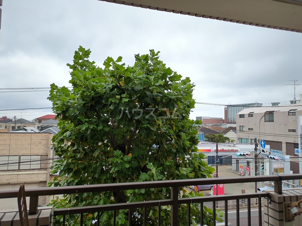 17/29 その他画像