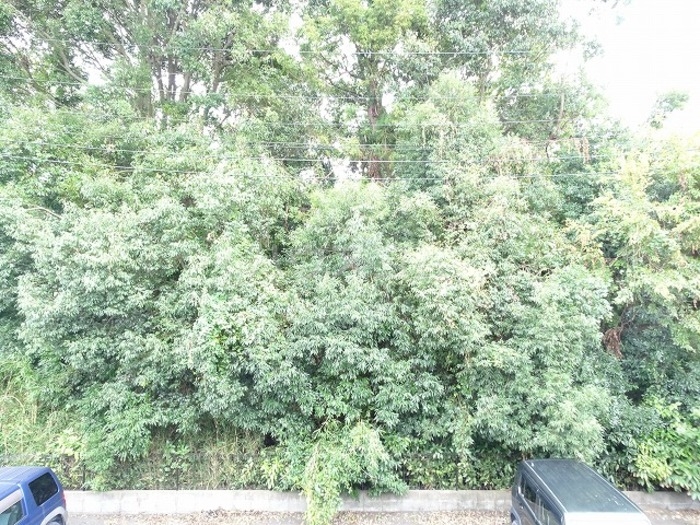 16/20 その他画像