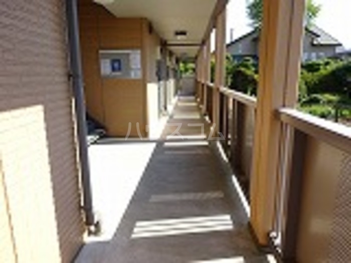 16/19 その他画像