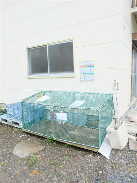 13/21 その他画像