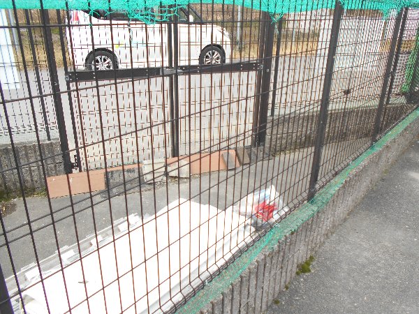 14/18 その他画像