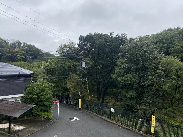 17/26 その他画像