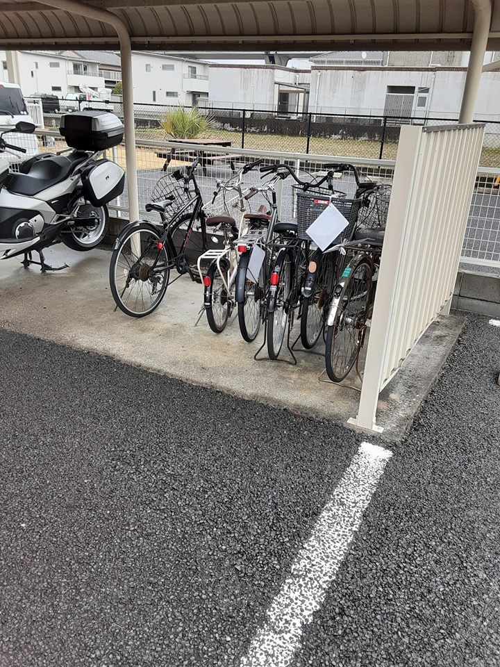 20/30 その他画像