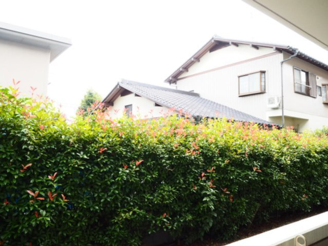 16/19 その他画像