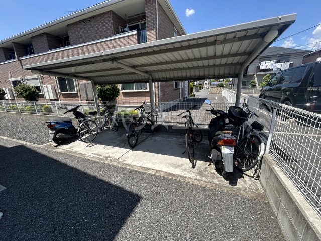 20/30 その他画像