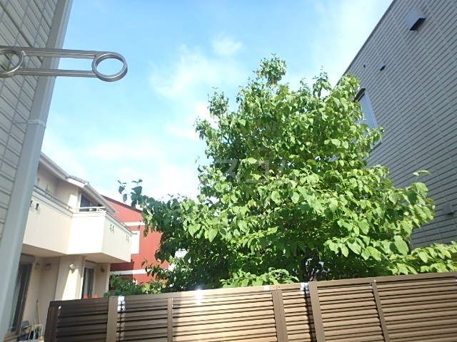 17/24 その他画像