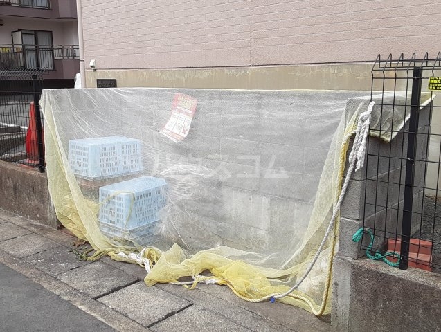 15/19 その他画像