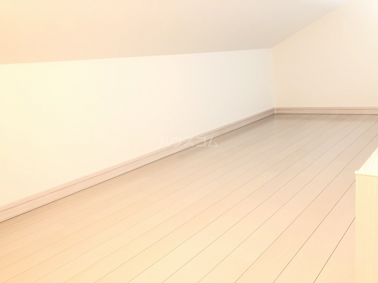 21/29 その他画像