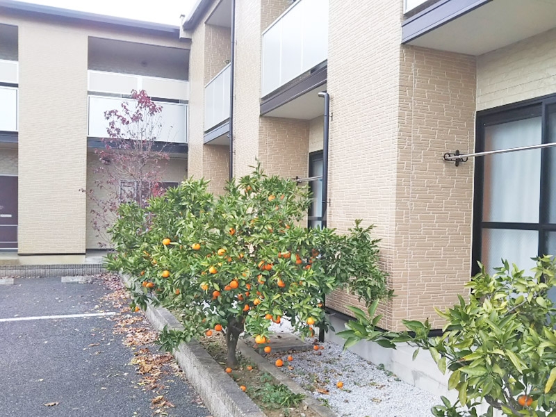 10/24 バルコニー