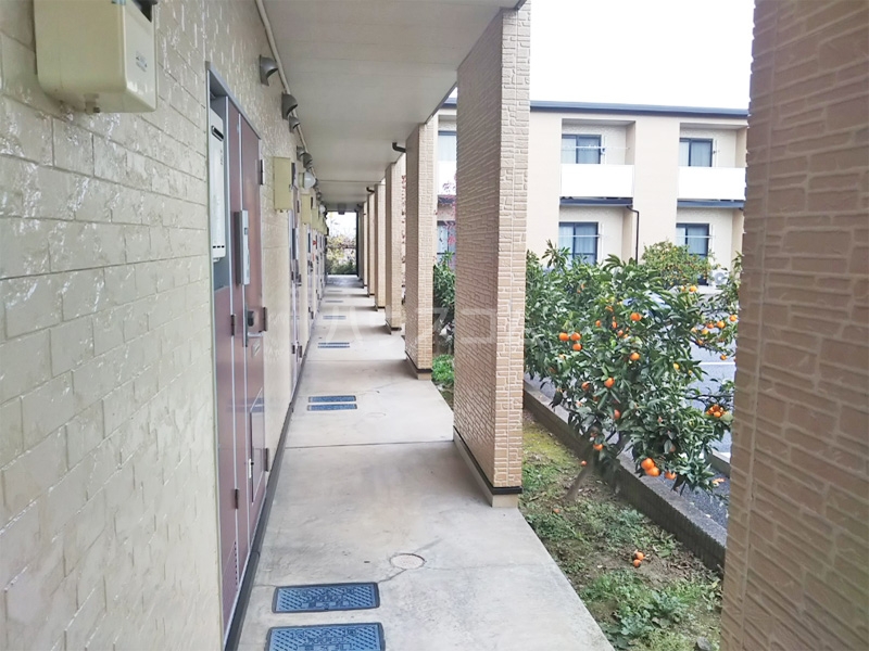 11/24 その他画像