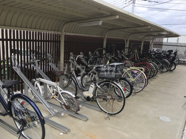 17/29 その他画像