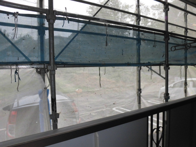 17/24 その他画像