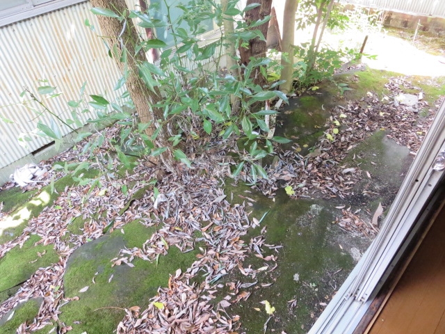 16/26 その他画像