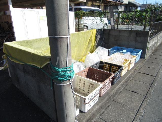 20/30 その他画像