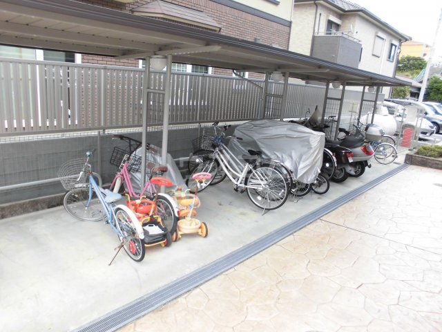 6/15 その他画像