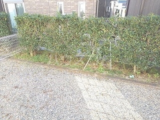 11/21 その他画像