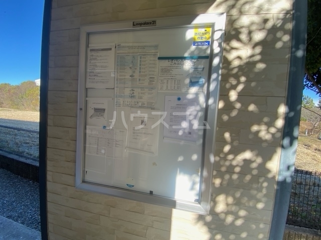 7/15 その他画像