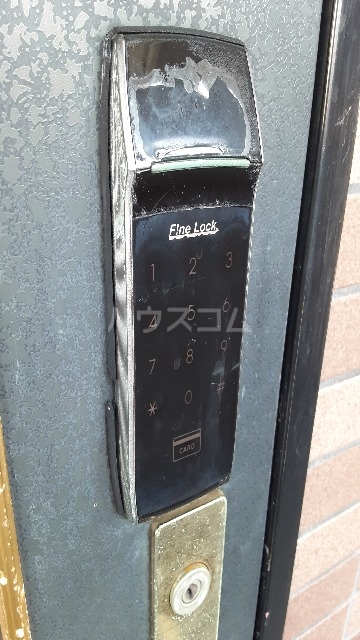 20/30 その他画像