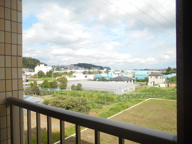 28/30 その他画像