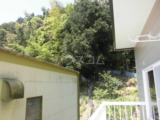 15/23 その他画像