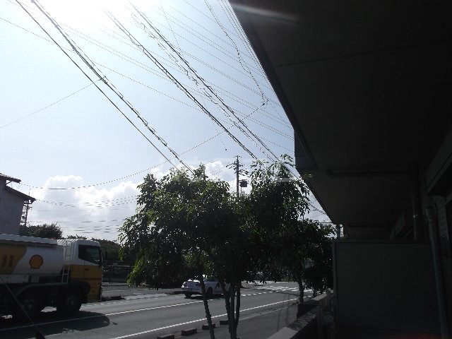 19/26 その他画像