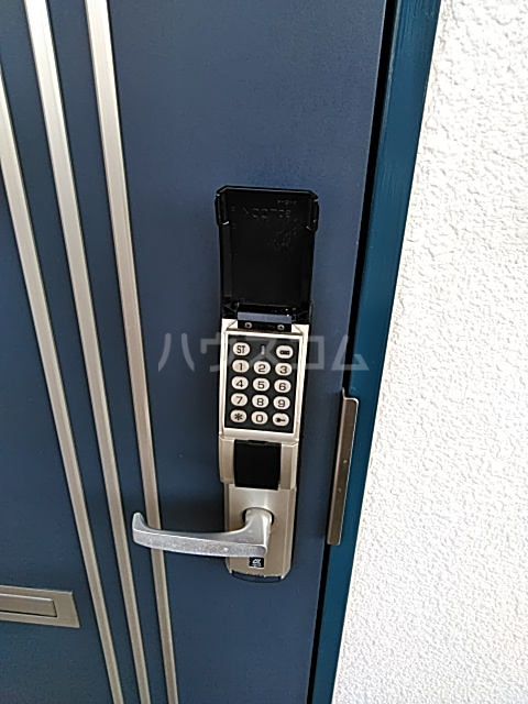 21/24 その他画像