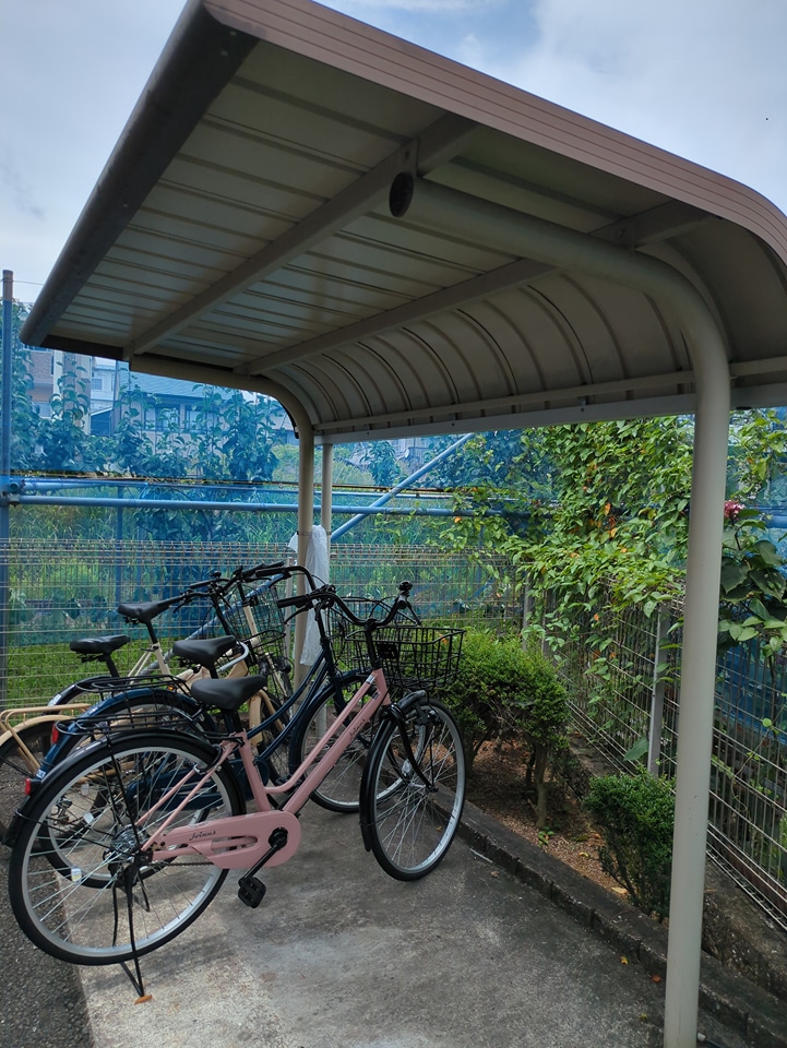 11/15 その他画像