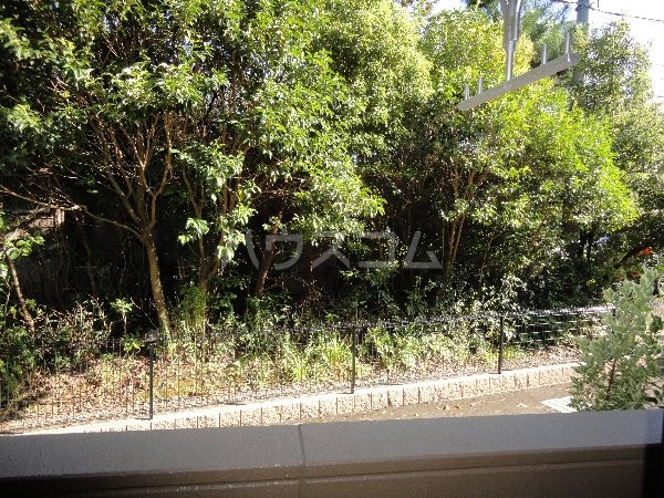 19/25 その他画像