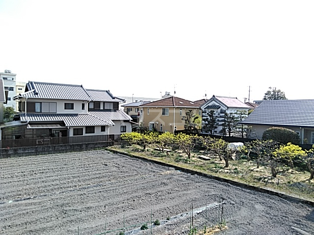 19/26 その他画像