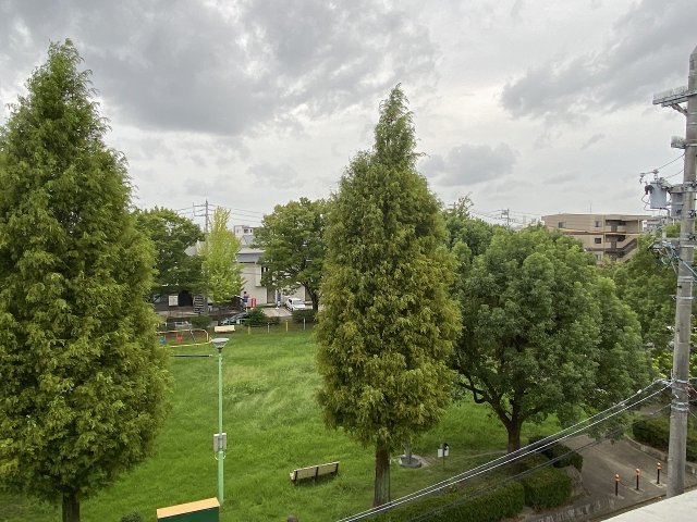 14/29 その他画像