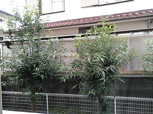 12/20 その他画像